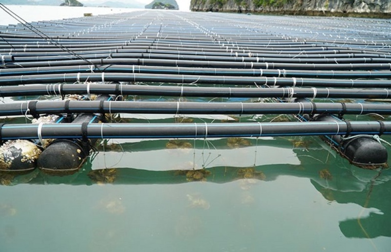 Ống nhựa HDPE – linh hoạt, chịu nén và kháng va đập