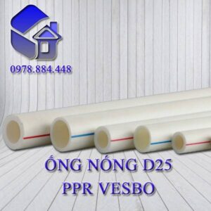 ONG NONG D25 VESBO