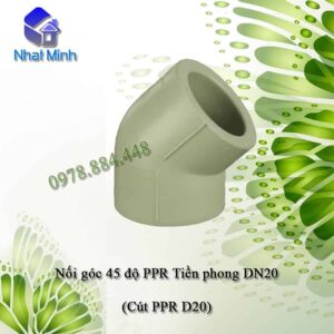chech ppr tien phong d20