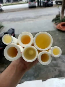 Ống vesbo tại ứng hòa