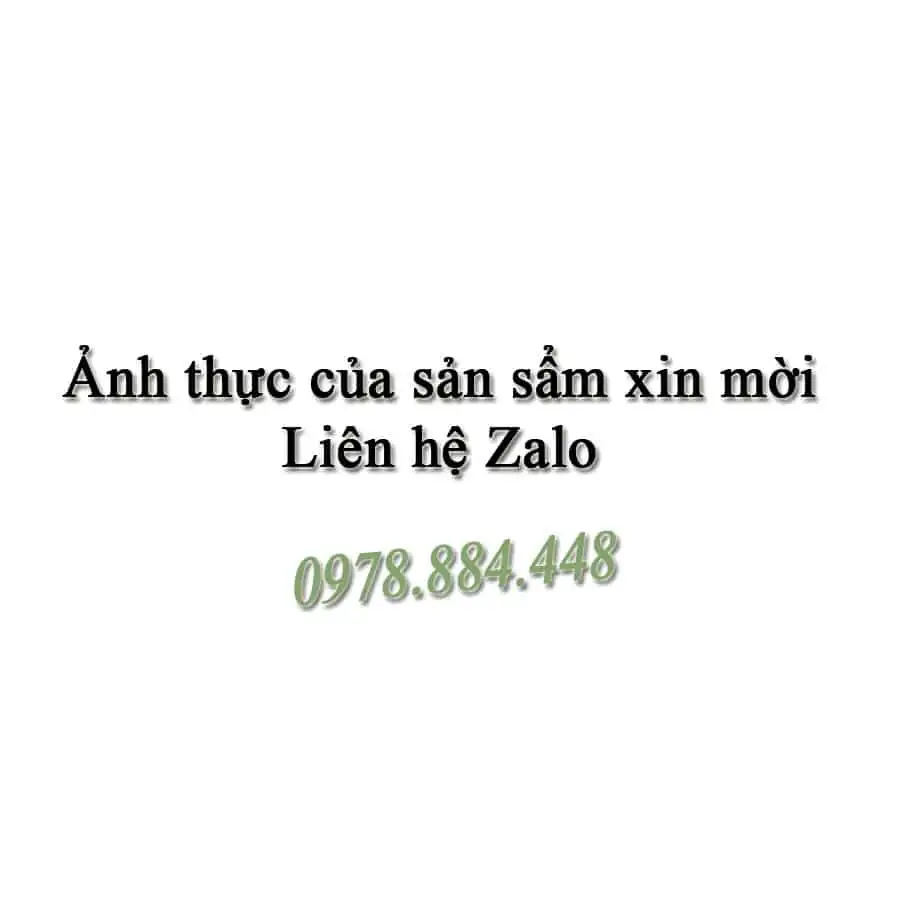 Nơi nhập dữ liệu