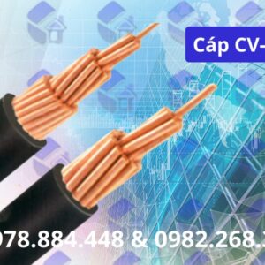 Cáp CV-150 trần phú