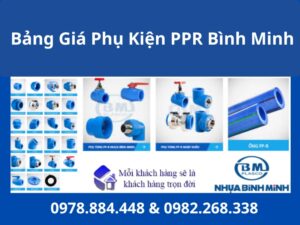 Bảng Giá Phụ Kiện PPR Bình Minh mới nhất